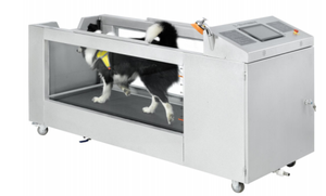 Huisdierhydrotherapie Loopband Roestvrijstalen Hondenrevalidatie Huisdier Spa Loopband - Product Image 2