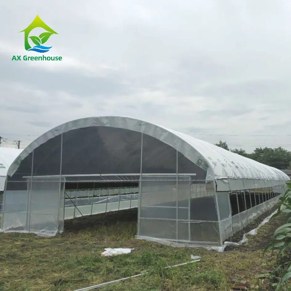 Kit de serre agricole d'élevage d'escargots de serre de film de tunnel de gros mondial à faible coût avec système hydroponique