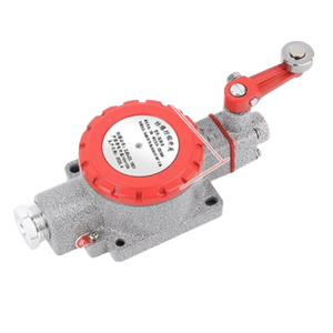 Interruttore da viaggio antideflagrante tipo LX5-Z/<span class=keywords><strong>L</strong></span>/<span class=keywords><strong>B</strong></span>/D/H/N, a rullo, a braccio singolo e doppio, BZX51IIB Classe IIC - Product Image 6