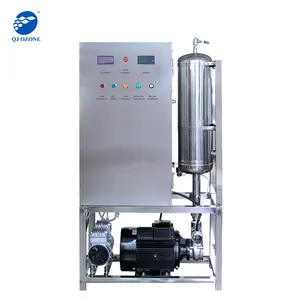 Industriële Ozon Waterbehandeling Machine, Ozonator Voor Wasmachine 200G Handig