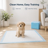Tapis d'apprentissage pour chiots à six couches, écologiques, avec noyau en pâte de cellulose et SAP, étanches IPX7, pour l'entraînement quotidien à la propreté, marque privée