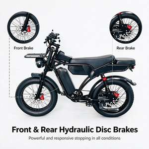 Vélo électrique en gros 52V 40Ah avec deux batteries au lithium, longue autonomie, porte-bagages avant, confort amélioré, double siège, pneus larges - Product Image 3