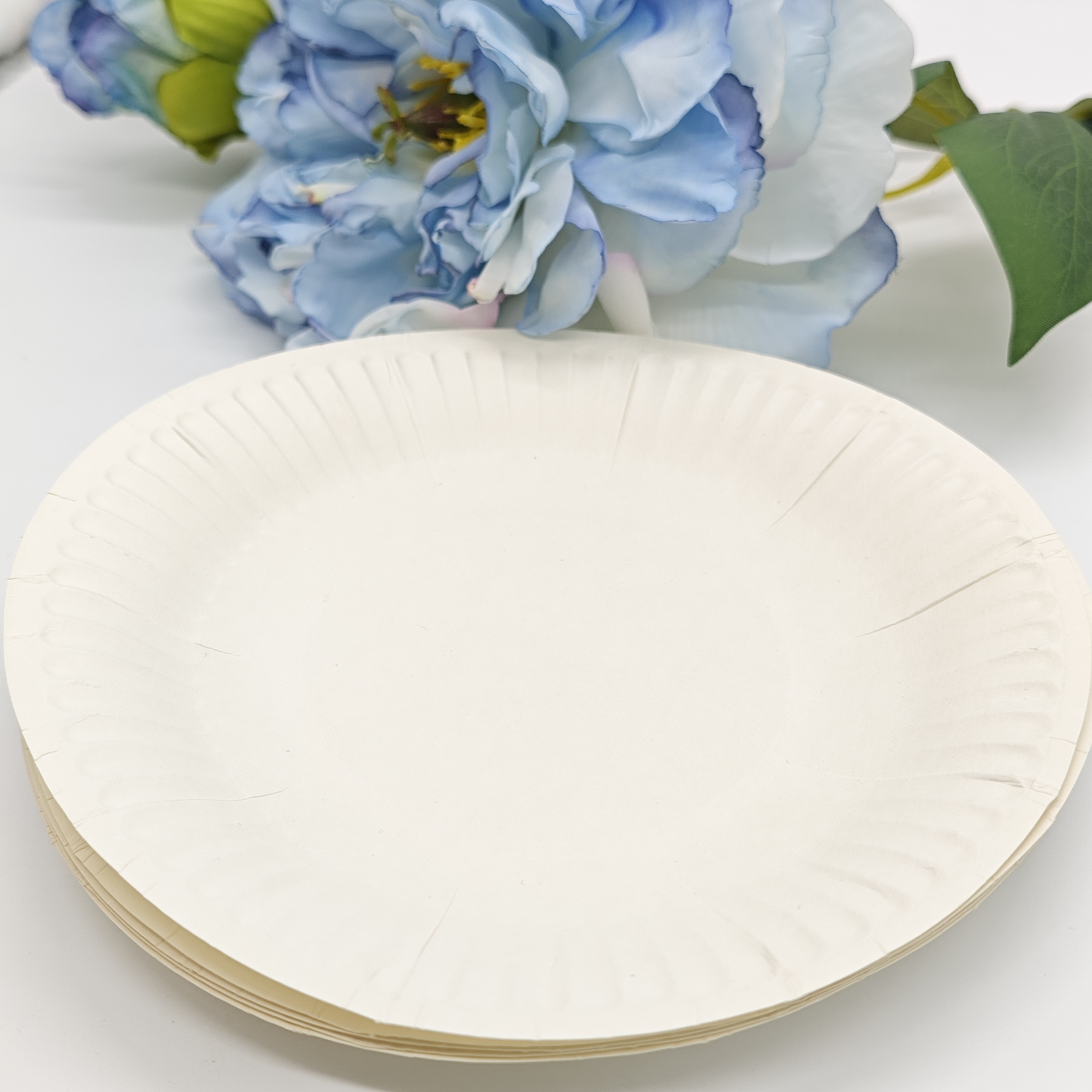 Food Grade Disposable Paper Plates and Bowls White Cardboard Paper Tray