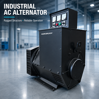 Alternateur de type Stanford 50 kVA, 100 % cuivre, avec AVR 40 kW, directement de l'usine