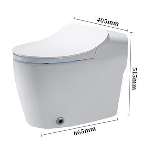 Inosoro-<span class=keywords><strong>toilette</strong></span> intelligente en céramique, hygiénique, automatique, monter sur le sol, <span class=keywords><strong>toilette</strong></span>, 1 pièce, Europe - Product Image 5