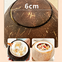 Perceuse Électrique Manuelle pour Noix de Coco – Outil Commercial et Domestique Innovant pour l'Ouverture des Noix de Coco