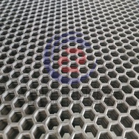 Maille perforée en acier inoxydable, différents types de trous, tôle perforée, maille métallique perforée pour la décoration