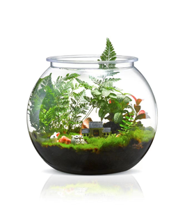 Nhà Máy Bán Buôn Vòng Nhựa Bể Cá Nhựa Bát Cá Cổ Điển Bát Cho <span class=keywords><strong>Betta</strong></span> Hoàn Hảo Cho Trang Trí Nội Thất Với Hàng Tồn Kho Các Mặt Hàng - Product Image 2