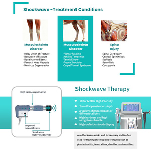 5 in 1 High Performance <strong>Shockwave</strong> <strong>Therapy</strong> 448k Machine for Accelerated Recovery of Sports Injuries in Equine Athletes - Product Image 2