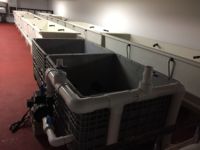 Gros frp grp en fibre de verre piscine coquilles