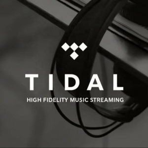 Tidal Premium แพ็กเกจเพลง Tidal 12 เดือน บัญชีสมาชิก Tidal Hifi Plus 1 ปี - Product Image 3