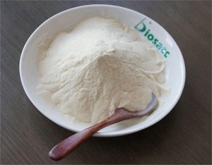 Top giá trị dược phẩm lớp kẹo cao su Arabic bột cao cấp phụ gia thực phẩm ( - Product Image 2