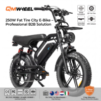 Vélo électrique QMHEEL V20 Limited 48V, vélo de ville électrique, batterie au lithium, entrepôt UE, États-Unis, Australie, prêt pour l'exportation aux concessionnaires