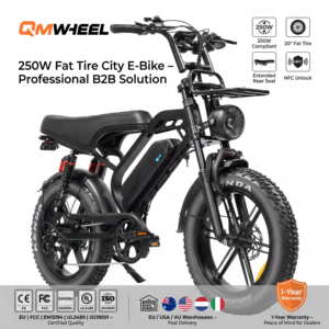Bicicleta Eléctrica QMHEEL V20 Limited 48V, Bicicleta Urbana Eléctrica con Batería de Litio, Disponible en Almacenes de la UE, EE. UU. y Australia para Exportación a Distribuidores - Product Image 1