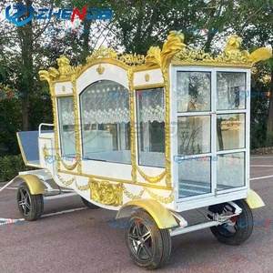 Carroza Fúnebre Personalizada en Venta, Carroza para Ataúdes, Carroza Fúnebre Eléctrica Clásica Antigua con Buen Precio - Product Image 4