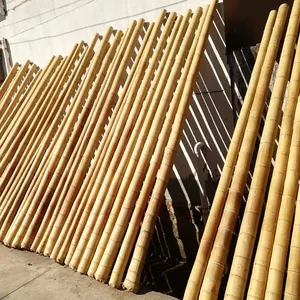 Postes de bambú natural, estacas rectas de árbol de bambú, postes de bambú grandes para decoración, longitud de 300cm