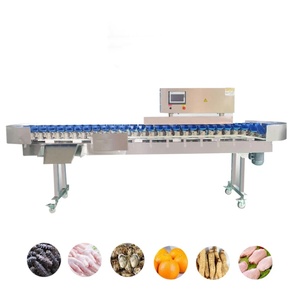 Máquina Clasificadora de Frutas y Verduras Automática Profesional, Clasificadora de Mango y Albaricoque, con Acero Inoxidable 304 - Product Image 2