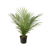 Plante artificielle de Table, palmier artificiel, bonsaï, décoration de Table à domicile, 40 cm 42cm