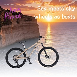 Phổ biến thiết kế xe đạp bụi bẩn nhảy allominium Rower xe đạp đầy đủ hệ thống treo xe đạp leo núi OEM ODM MTB Xe đạp cho men's - Product Image 6