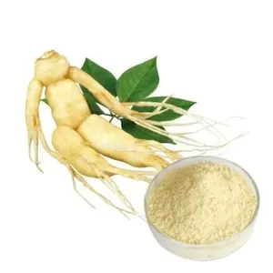 Chinese Traditional Herb Siberian Ginseng Extract Suppliers Organic Ginseng Extract Ginsenosides 80%