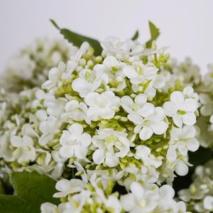 Hydrangeas artificiels en latex de haute qualité à 3 têtes, effet réaliste, pour centre de table de Noël, décoration de mariage - Product Image 5