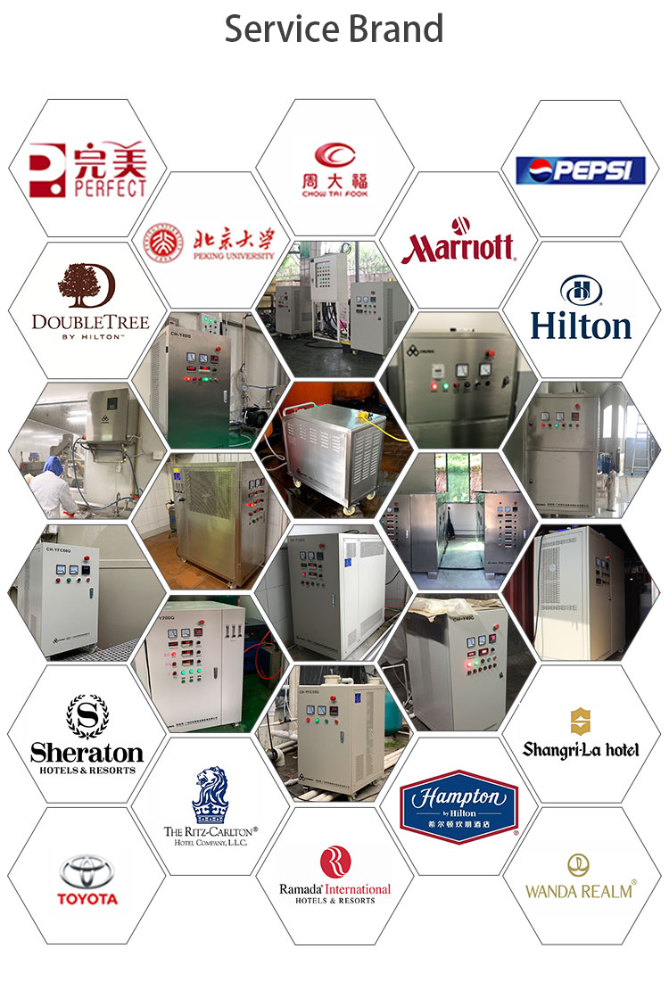 औद्योगिक सीवेज जल कीटाणुशोधन उपचार के लिए बड़े पैमाने पर 500 ग्राम पेशेवर ओजोन जनरेटर 12