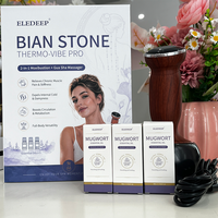 Alat Pijat Batu Panas Elektrik R, Pemijat Guasha Bianstone, Kompres Panas Spa, Pijat Relaksasi Otot Punggung, Pengangkat Kulit