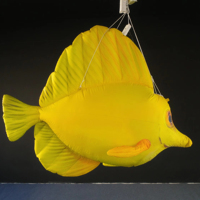 Publicité promotionnelle : Modèles gonflables de poissons tropicaux, avec une ambiance océanique et des accessoires décoratifs spécifiques au thème.