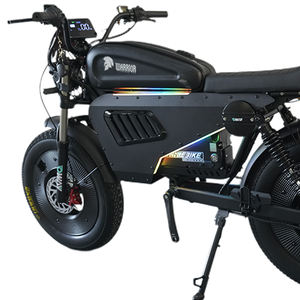 <b>Battery</b> Electric <b>Motorcycle</b> High Power Electric Motorbike Adult Electric <b>Motorcycle</b> High Speed Scooter - Product Image 2
