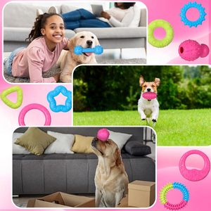 Jouet à mâcher pour chiot et chien, couleurs personnalisées, écologique, mignon, durable, en TPR, avec jouets en forme d'os à tétine neutre, petite taille, vente chaude - Product Image 6
