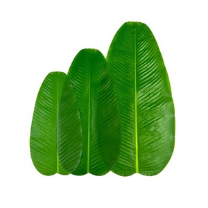 Tappetino Decorativo con Foglia <span class=keywords><strong>di</strong></span> Banana Verde Simulata <span class=keywords><strong>per</strong></span> Casa, <span class=keywords><strong>Halloween</strong></span>, San Valentino, Laurea, Festa della Mamma - Product Image 1