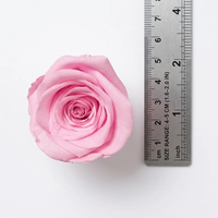 Roze geconserveerde rozen ECHTE eeuwige rozenkoppen voor doe-het-zelf knutsels 8 stuks geconserveerde bloemen voor thuis bruiloft bloemdecoratie benodigdheden