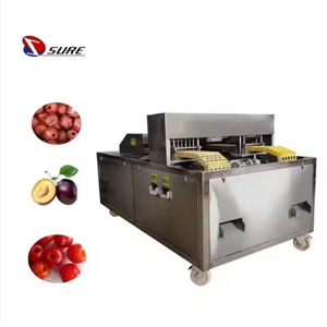 Machine à dénoyauter les abricots, machine à enlever les noyaux d'abricots, machine à dénoyauter les prunes en promotion - Product Image 6