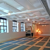 Panneau Chauffant Infrarouge de Plafond avec Lumière, Chauffage Intelligent IR, Radiateur Mural pour Yoga Chaud