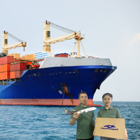 Orman Leoparı Nakliye Acentesi Çin Nantong Zhenjiang Changzhou Şanghay ABD Long Beach Fresno Sacramento Oakland CA LCL+Ekspres