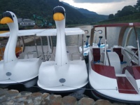 Dessin animé Animal cygne pédalier bateau Durable en fibre de verre Waterplay artisanat amusant eau pédale vélo équipement à vendre