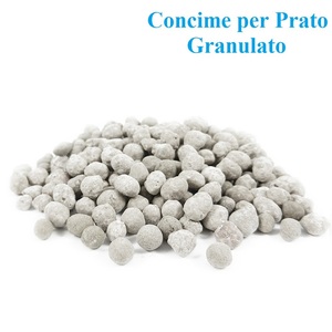 Engrais Prato Rinverdente 5 Kg avec Fer pour 140 m² de pelouse fine - Product Image 2