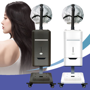 Wholesale Stainless Steel 2in1 Hair Facial Spa Steamer Nano Negative Ion Mist <b>Machine</b> Hair Care Device - Product Image 1