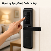 Cerradura Inteligente para Puerta de Hotel TTLOCK, Acero Inoxidable 304, Aplicación Móvil, Contraseña, Tarjeta, Llave Mecánica, para Hotel y Apartamento