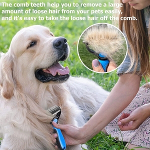 Cepillo para Mascotas, Ideal para Perros y Gatos, de Doble Cara, para Eliminar Pelo Suelto, Apto para Desenredar Pelos de Perros y Gatos - Product Image 5