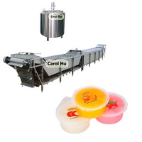 GYC-20 Complet Gelée de pouding aux fruits ligne de production
