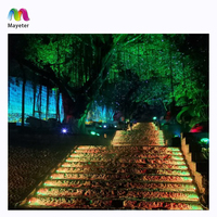 Sistema de proyección interactiva para exteriores, programa de iluminación láser para paisaje, bosque, Show, vídeo, mapeo, 3D