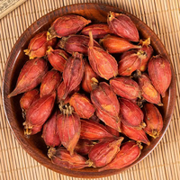 Zhi Zi – Produit alimentaire santé à base d'herbes de haute qualité, en gros, pour éliminer la chaleur et soulager les irritations, rafraîchir et favoriser la diurèse