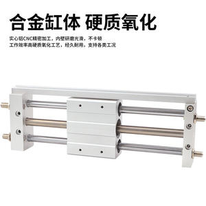 Cylindre à glissière RMTL 25X100X200-1000X500SA-400, cylindre sans tige à accouplement magnétique - Product Image 3