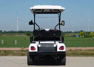 3000 W elektrischer faltbarer elektrischer Golf-Scooter mit 4 Rädern, günstiger chinesischer Elektro-Mini-Golf-Wagen