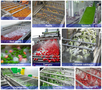 Ligne de nettoyage automatique professionnelle à grande échelle pour légumes (choux, épinards) – Machines de traitement des fruits et légumes