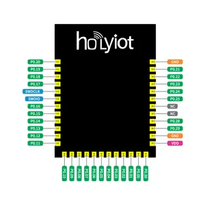 Holyiot kablosuz güç 2.4ghz Rohs transferi Rf dedektörü Bt alıcı Mini usta Bluetooth gömülü Hid modülü