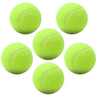 Lot de 6 balles de tennis d'entraînement certifiées ITF - Matériau en caoutchouc à haute élasticité, jouet pour animaux de compagnie