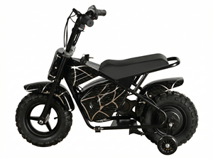 Promotion : Moteur à balais 250DH 500W, batterie au plomb 36V 12Ah, moteur de pit bike pour débutant 500W/800W/1000W, batterie 36V1 - Product Image 2