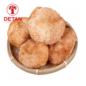 Detan-SETA seca de León, seta de cabeza de mono - Product Image 2